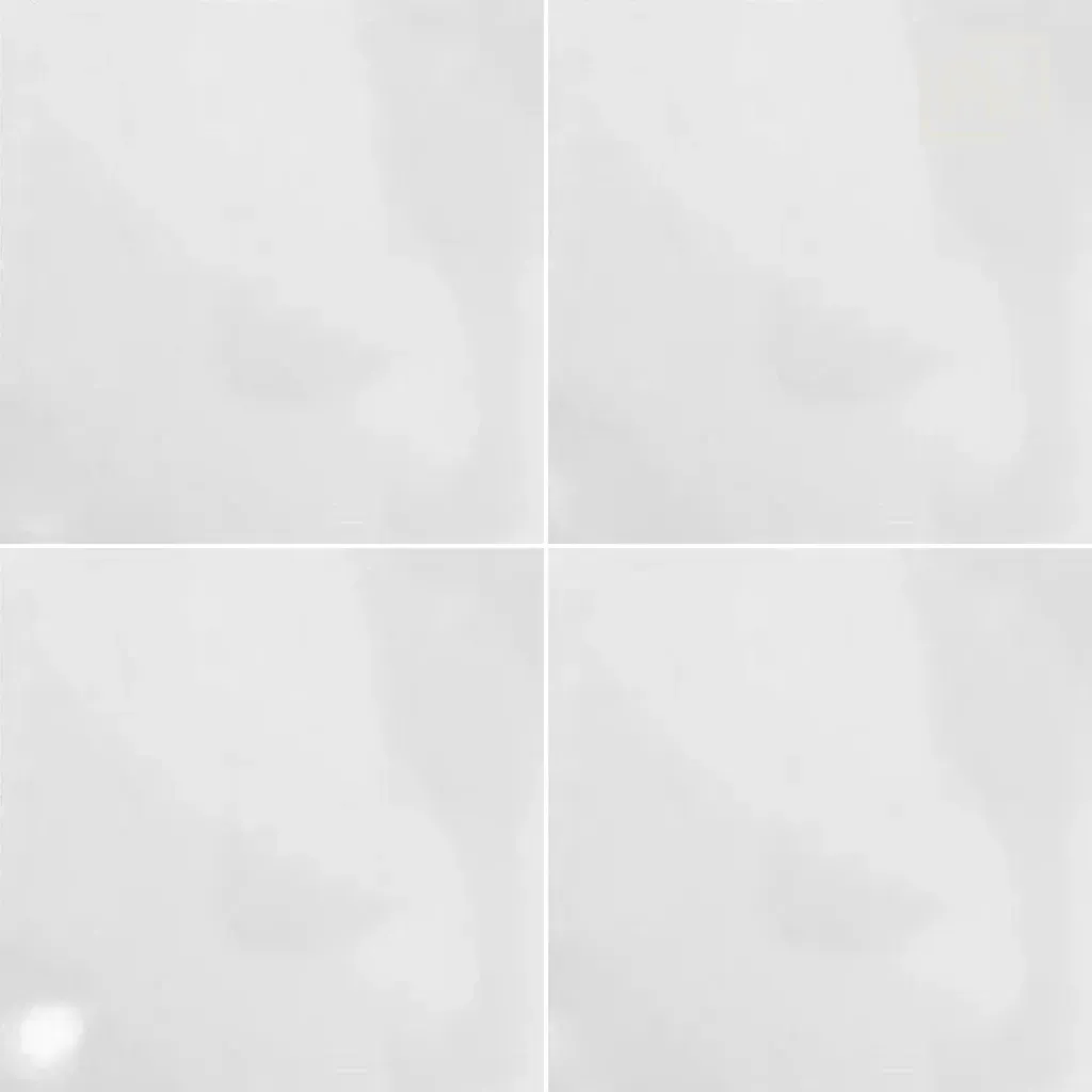 6.webp