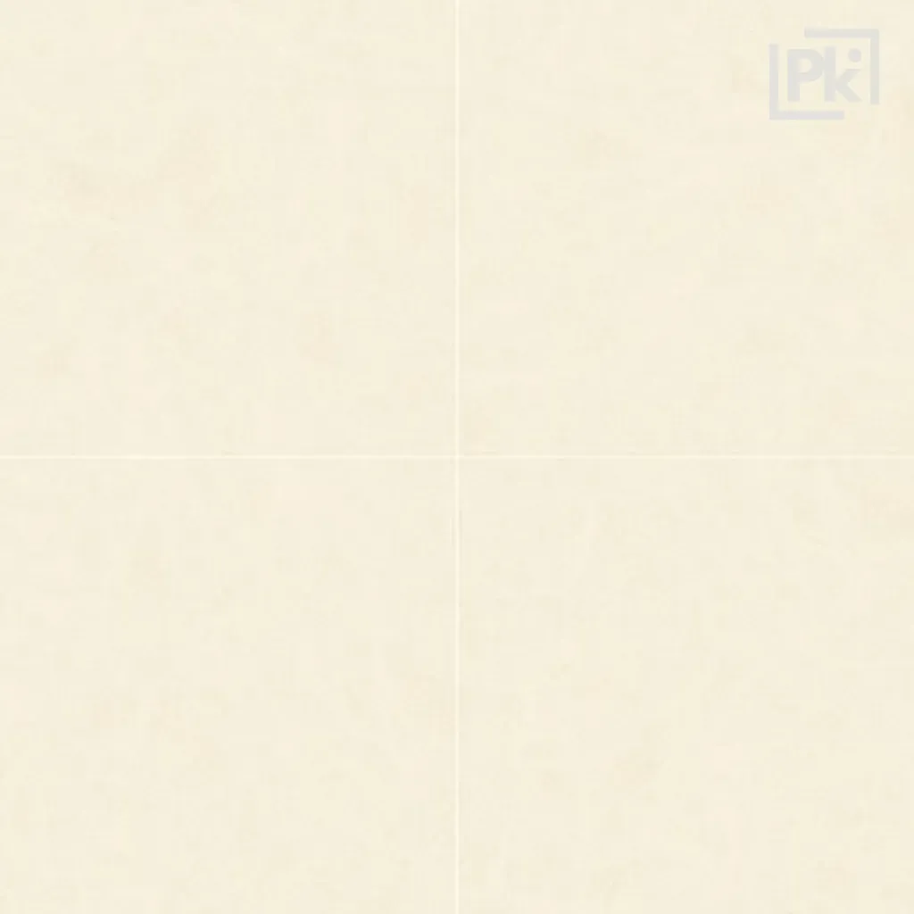 6.webp