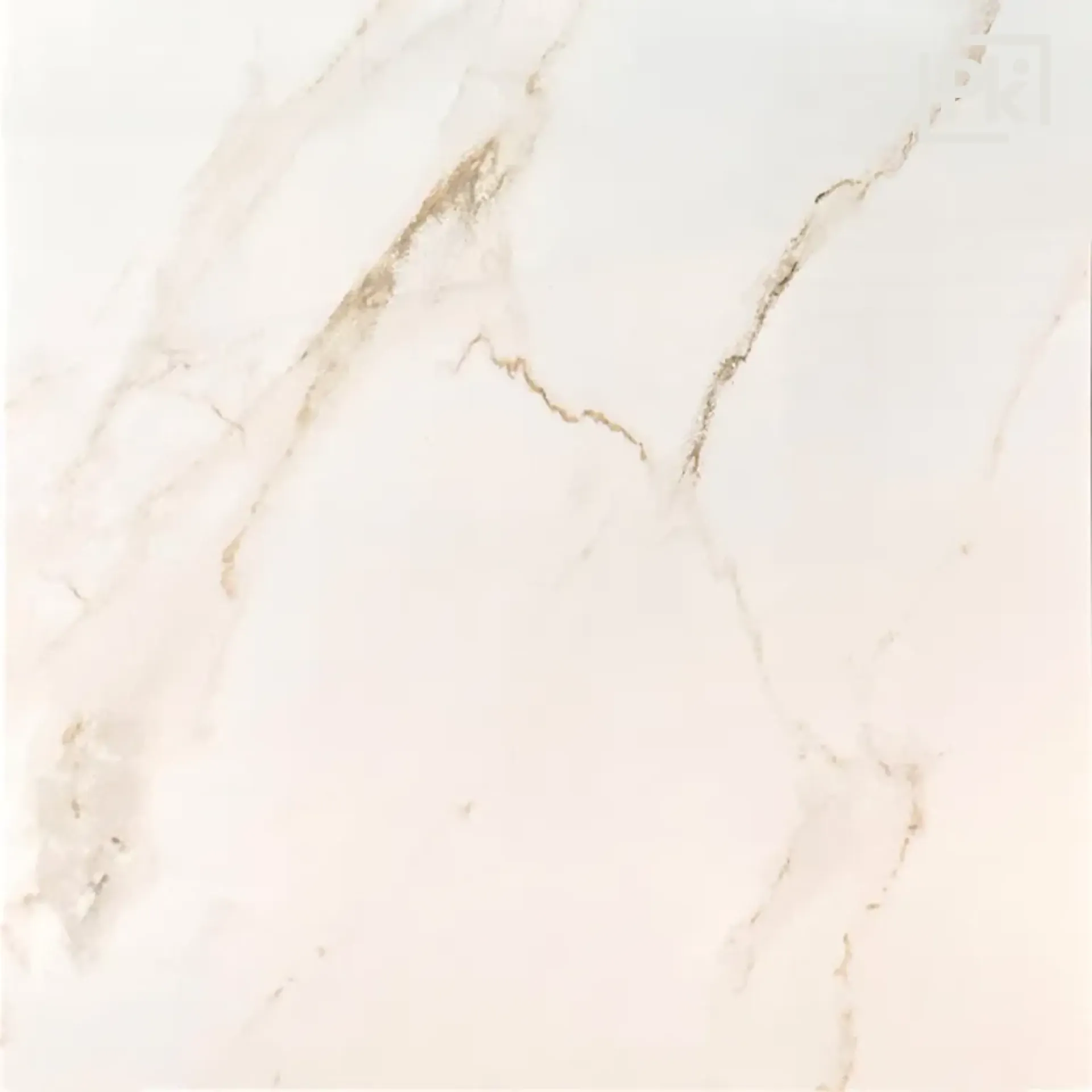 Calacatta Beige Brillo RC 60cm x 60cm